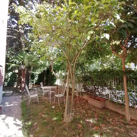 بيت ضيافة Fortuna *